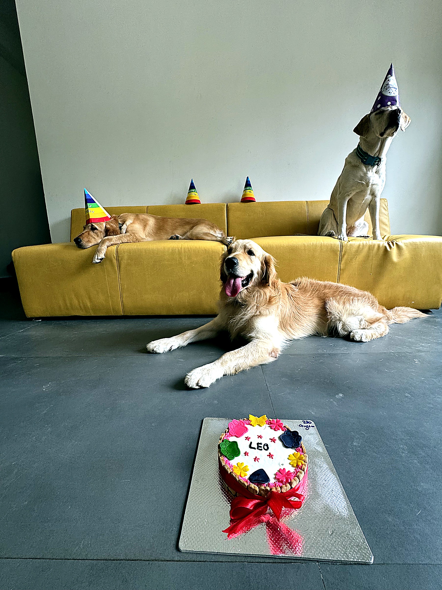 Birthday celebration