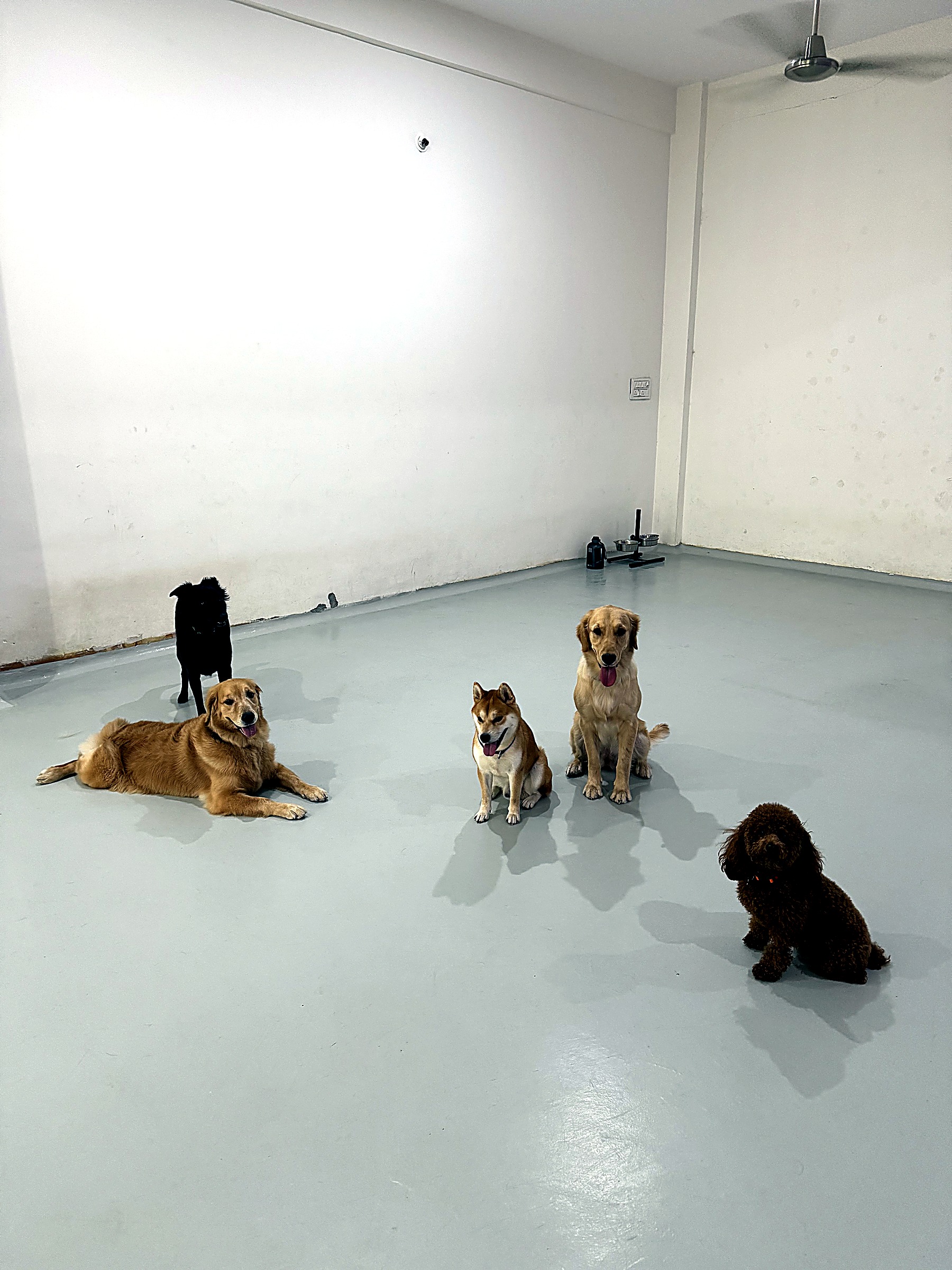 Spacious indoor area