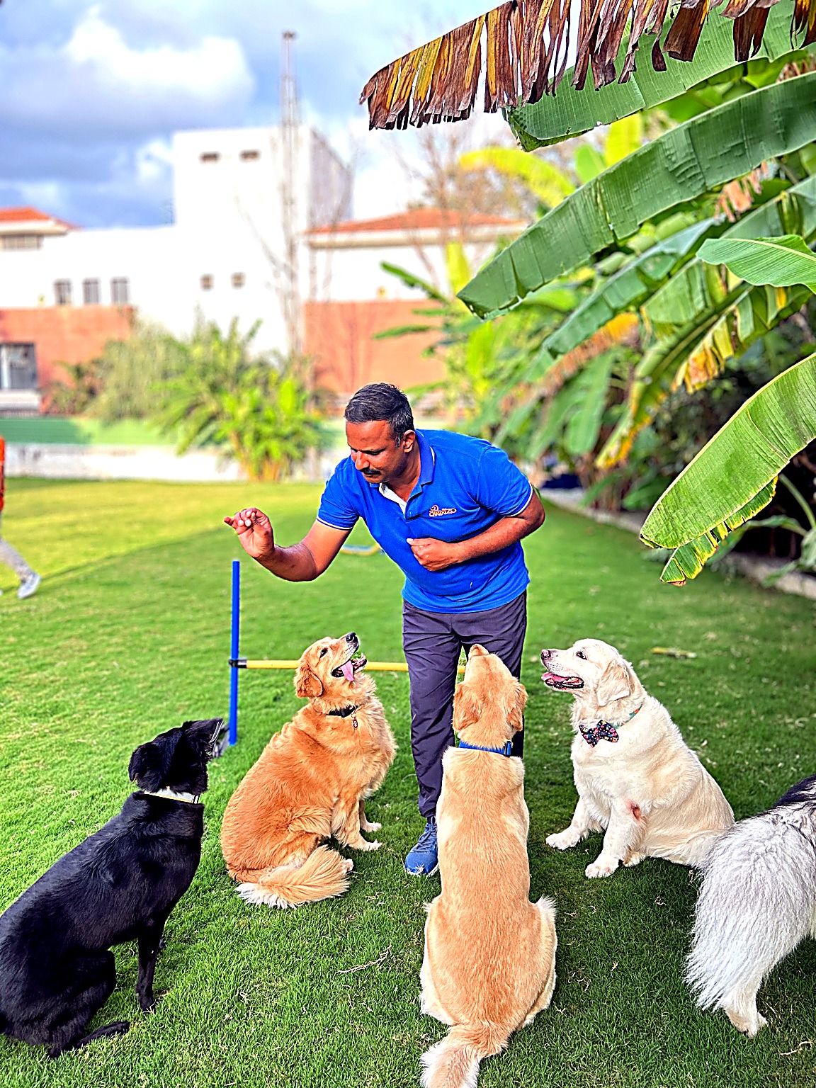 Professional training