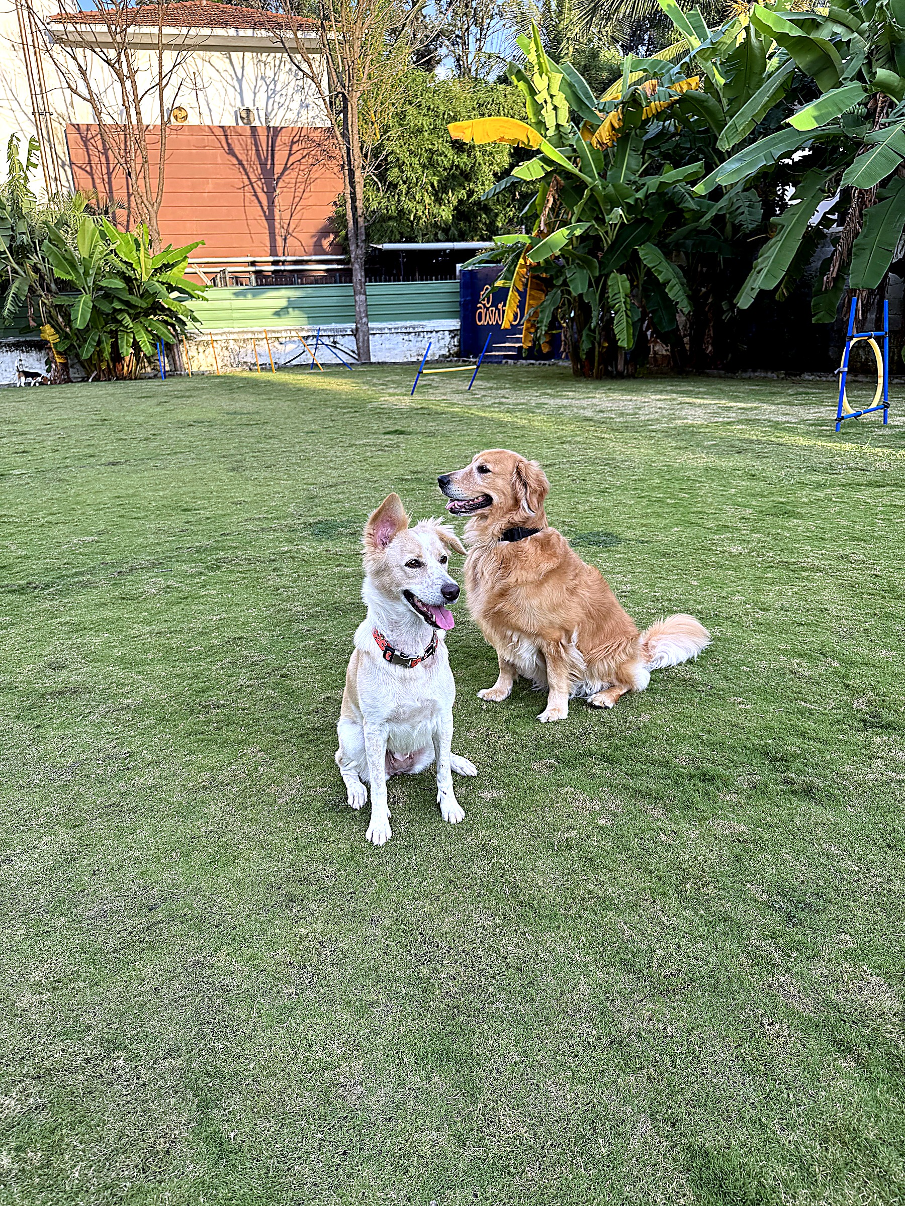 Friends in the garden